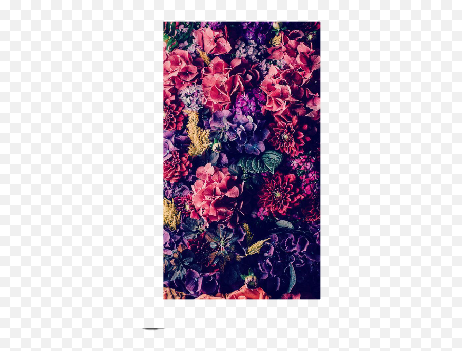 Overlay Background Wallpaper Sticker - Iphone Floral Hd Background Emoji,Lit Emoji Wallpaper