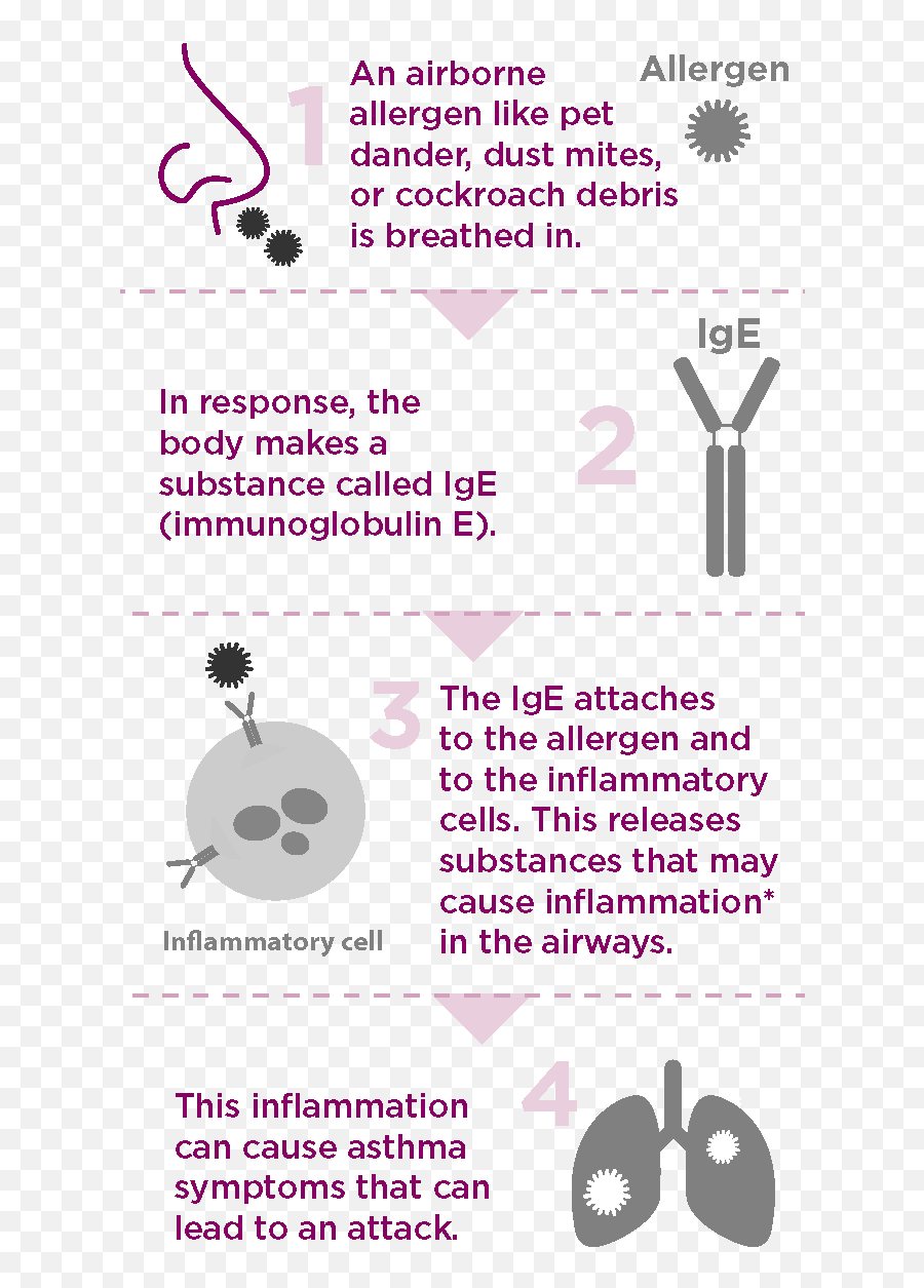 Asthma Drugs Mechanism Of Action - Asthma Lung Disease Xolair Asthma Emoji,Medscape Mayo Clinic Emojis