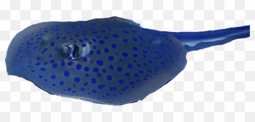 The Most Edited - Lovely Emoji,Stingray Emoji