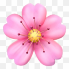 Popular And Trending - Flower Emoji Png,Hibiscus Emoji