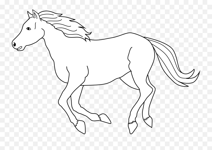 Free Black And White Horse Images - White Horse Clipart Emoji,Thin White And Balck Emojis