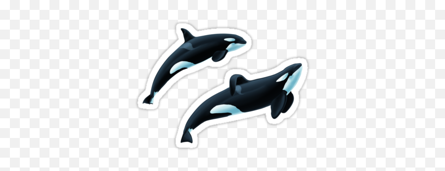 Shouka And Keet Orcas Sticker - Common Bottlenose Dolphin Emoji,Orca Emoji