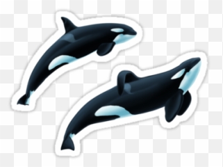 Shouka And Keet Orcas Sticker - Common Bottlenose Dolphin Emoji,Orca Emoji