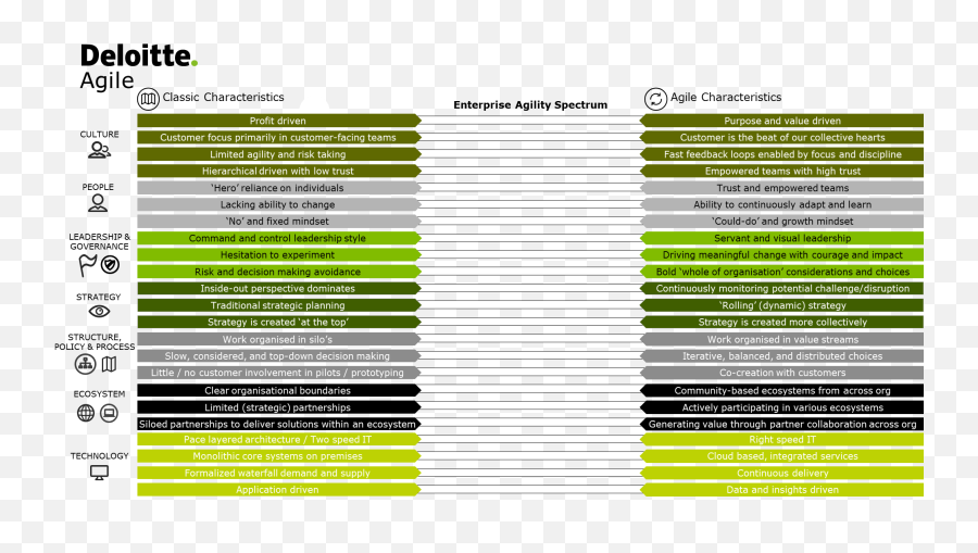 1st Steps In Defining Your Enterprise Agility Journey - Vertical Emoji,Spectral Emotions – Chapter 3