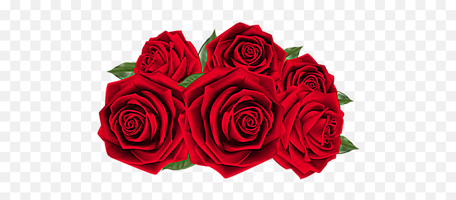 Neil Diamond Albums The 1970s - Red Roses Png Emoji,Background On The Emotions Flowers Album