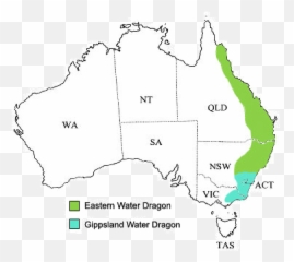 Coggers Gif - Australian Water Dragon Distribution Emoji,Biblethump Steam Emoticons