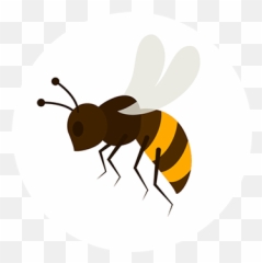 Sirhowy Valley Hedgerow Honey Bee Keeper Caerphilly - Bees Flapping Their Wings Drawing Emoji,Bee Swarm Bee Emojis