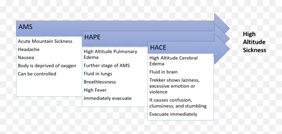 Acute Mountain Sickness Prevention And Cure - Bluethroat Emoji,Emotion Of The Lungs