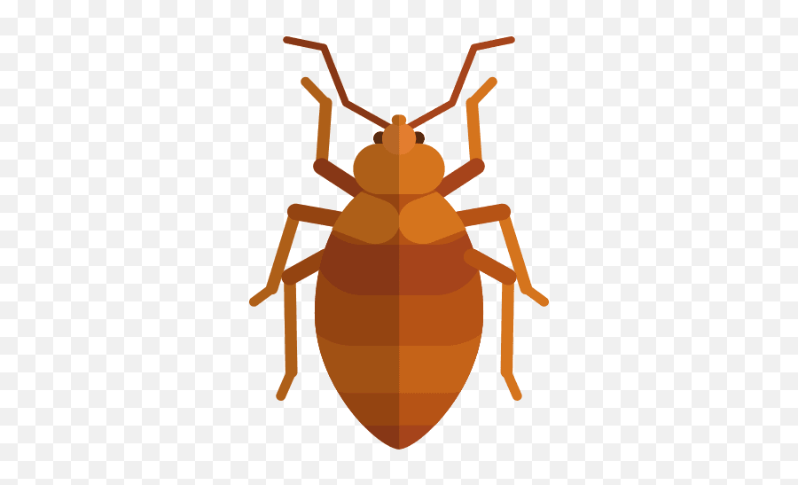 Rialto Pest Control Services Santee Pest Control Emoji,Beetle Emoji