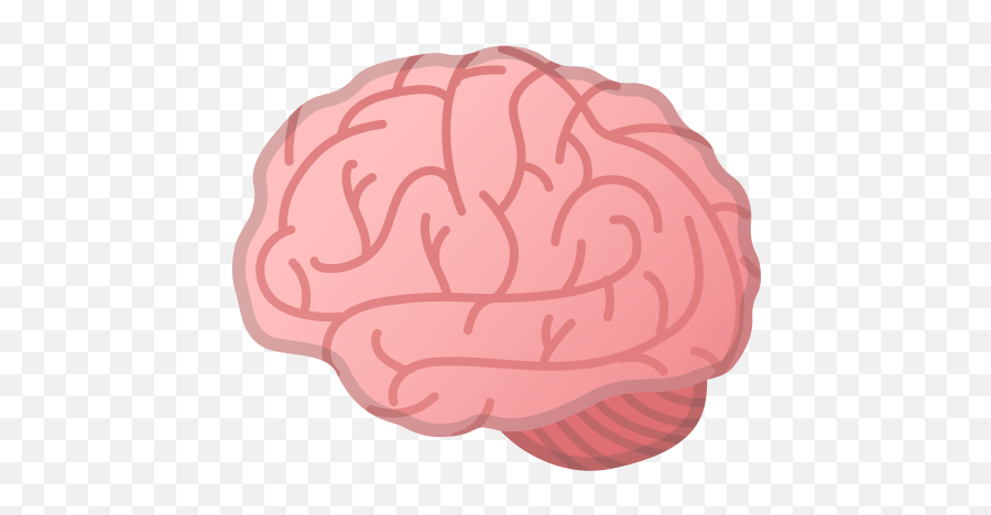 Brain Icon Noto Emoji Clothing U0026 Objects Iconset Google,Big Emoji