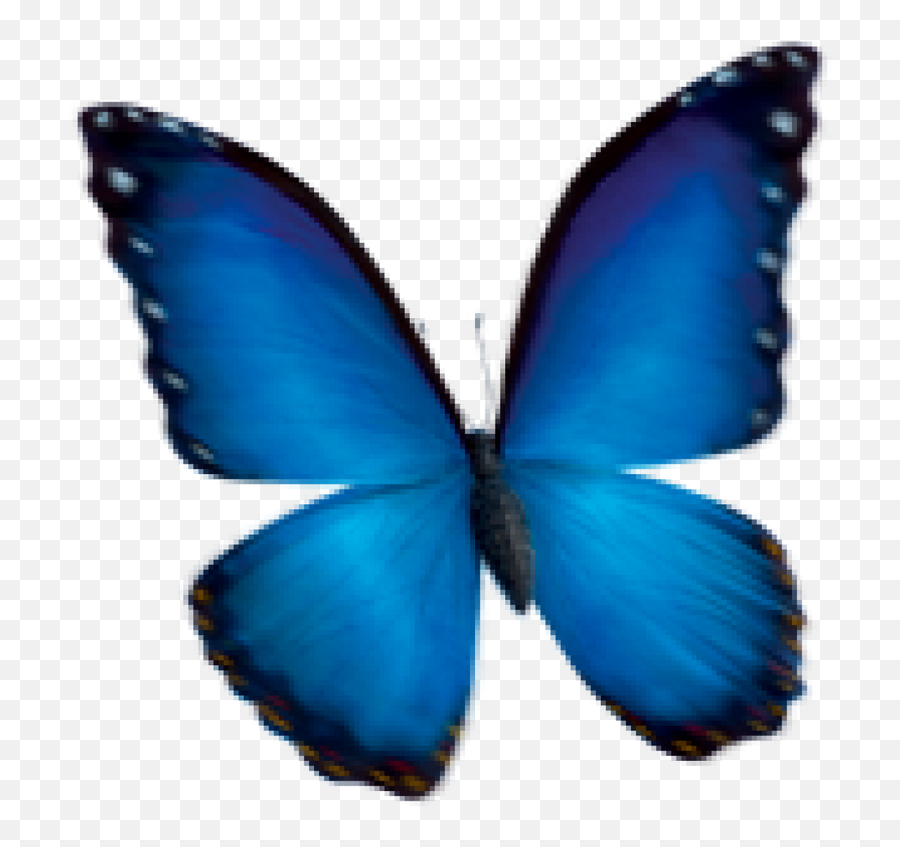 Disney 3d Viewer Emoji,Butterfly Emojio