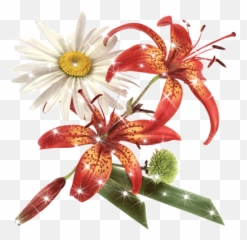 Top Lily Onakuramara Stickers For Android U0026 Ios Gfycat Emoji,Lily Pad Emoji