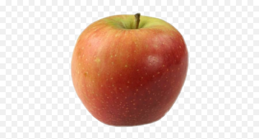 Png Apple Apfel Niche Fruit Red Sticker By T4bea44 - Apple Single Emoji,Apfel Emoji