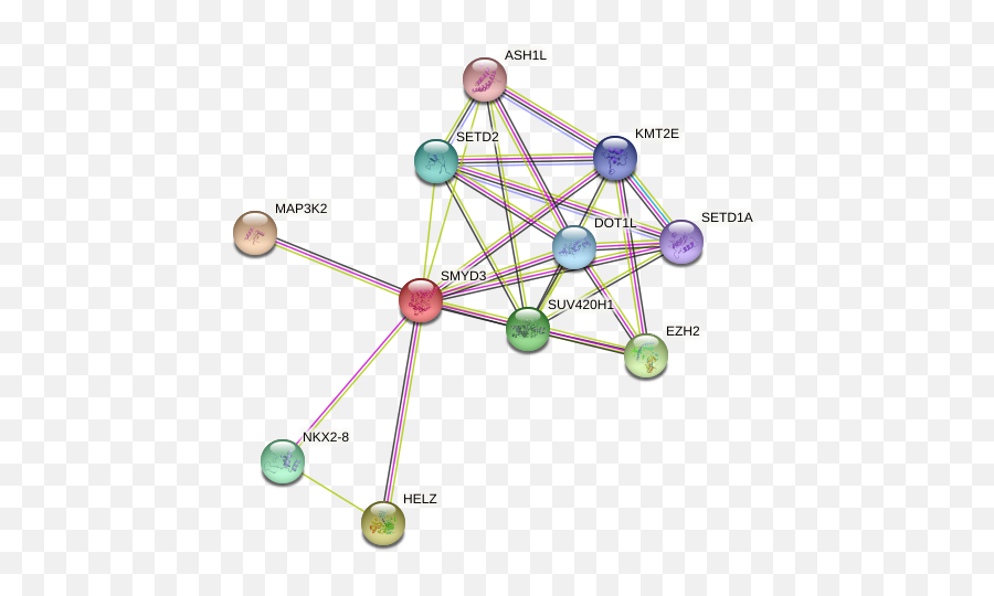 Smyd3 Protein Human - String Interaction Network Dot Emoji,Subsets Of Emotion Smyd3 Protein Human - String Interaction Network Dot Emoji,Subsets Of Emotion