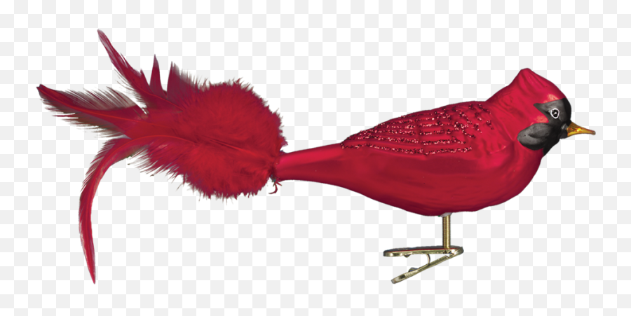 Old World Christmas Red Cardinal Glass - Animal Figure Emoji,Cardinal Emoji