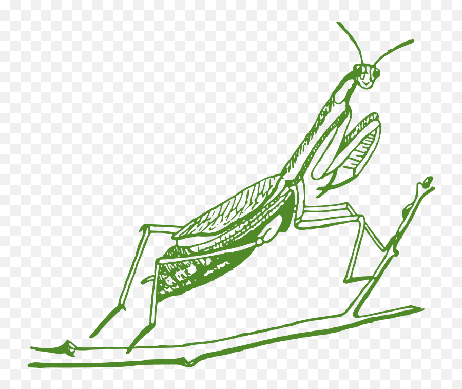 Openclipart - Clipping Culture Emoji,Praying Mantis Emojis