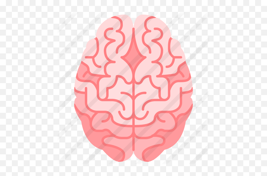 Brain - Free Medical Icons Emoji,Brain Emoji Transparent