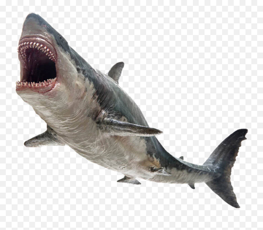 Shark Monster Killer Jaws Sticker - Figures Megalodon Shark Emoji,Jaws Emoji