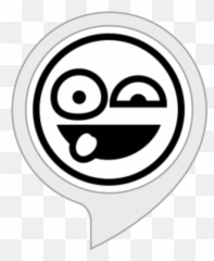 Amazoncom Crazy Random Facts Alexa Skills - Dot Emoji,Emoticon For Crazy