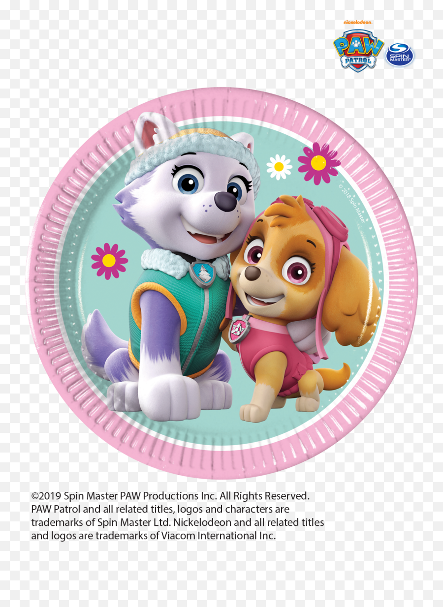 Paw Patrol Skye Everest Mint Tableware Party Decorations - Paw Patrol Skye And Everest Round Emoji,Emojis Birthday Decorations