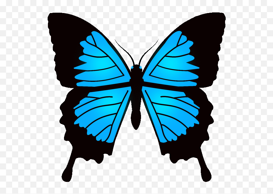 Animated Blue Butterfly Page 1 - Line17qqcom Applicatie Vlinder Groot Emoji,Butterfly Emoji Transparent