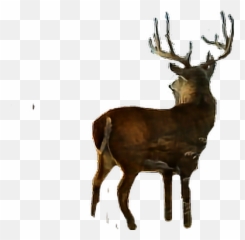 Sticker Deer Buck Antlers Sticker By Alison Johnson - Caribou Emoji,Buck Deer Emoji