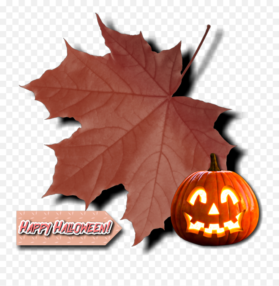Halloween Sticker By Linagustina012 - Autumn Emoji,Halloween Emoji Background