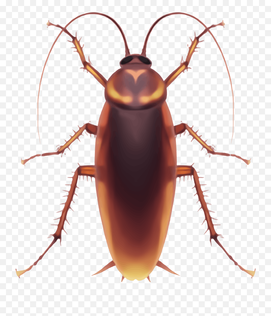 One - Taekwondo Board Of India Emoji,Cockroach Emoji