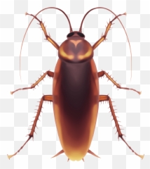 One - Taekwondo Board Of India Emoji,Cockroach Emoji