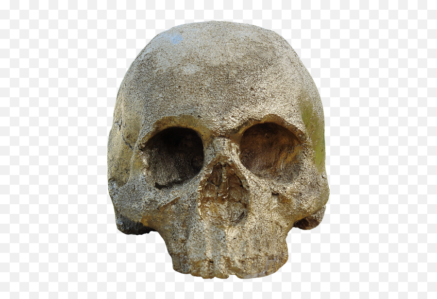 Skull Love Loving Emoji Public Domain Image - Freeimg Skull,Stone Head Emoji