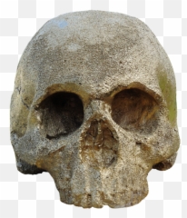 Skull Love Loving Emoji Public Domain Image - Freeimg Skull,Stone Head Emoji