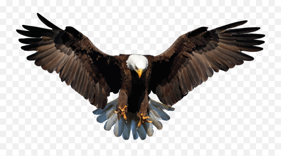 Bald Eagle Png Official Psds - Eagle Png Emoji,Eagle Emoji