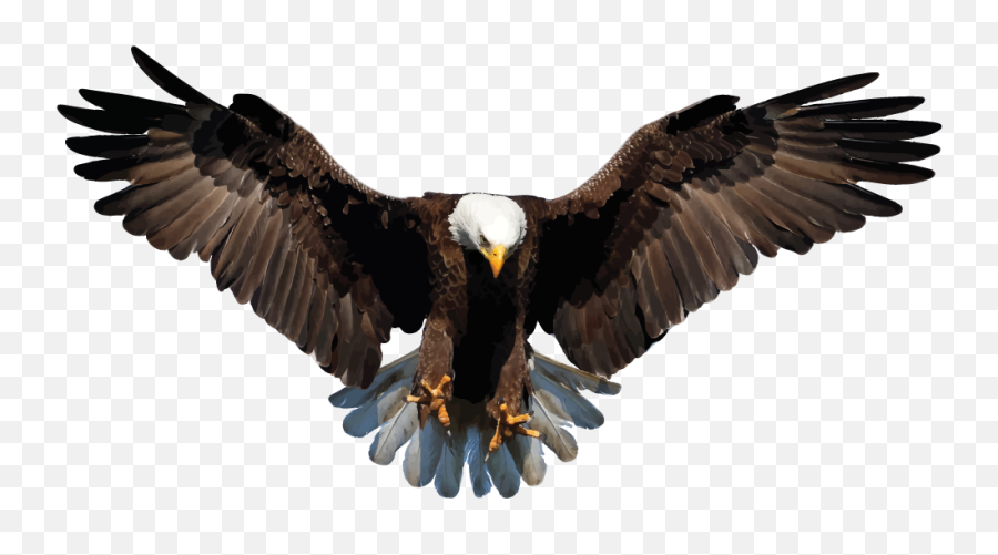 Eagle Emoji Clipart - Iphone Hawk Emoji,Eagle Emoji - Free Emoji PNG Images  