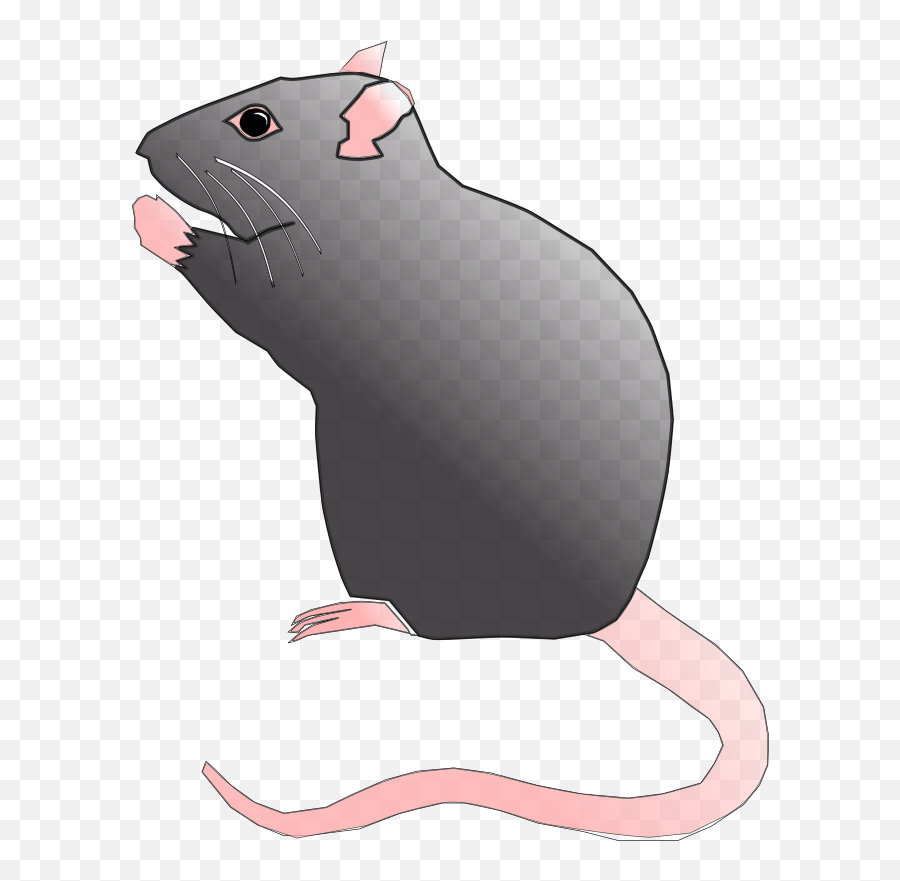 Openclipart - Clipping Culture Transparent Rat Cartoon Png Emoji,Zodiac Rat Emoticon