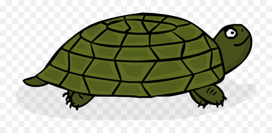 Coding Adventure Turtle - Gopher Tortoise Clipart Full Code Monkey Turtle Emoji,Netflix Ninja Emoji