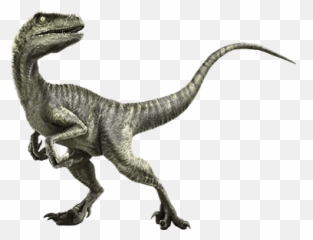 10 Most Dangerous Dinosaurs - Deadliest List By Topcount Emoji,Dinosaur Head Emoji