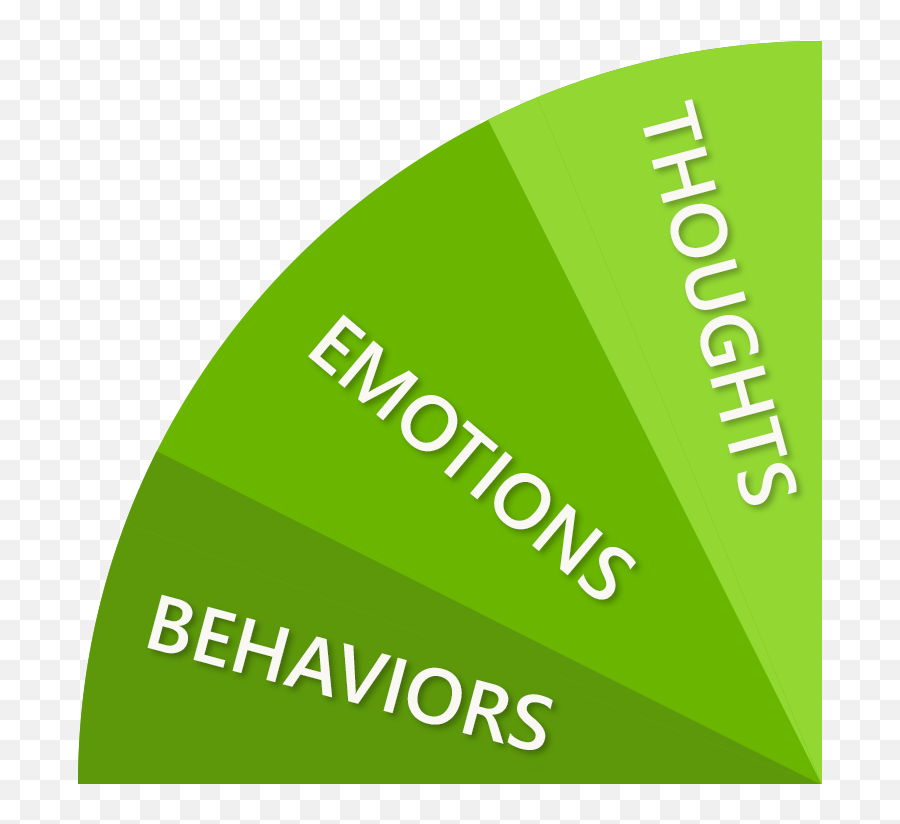Counter Cultural Health Holistic Healing U0026 Nutrition Programs Emoji,Mind And Emotions Spanish Version Counter Cultural Health Holistic Healing U0026 Nutrition Programs Emoji,Mind And Emotions Spanish Version