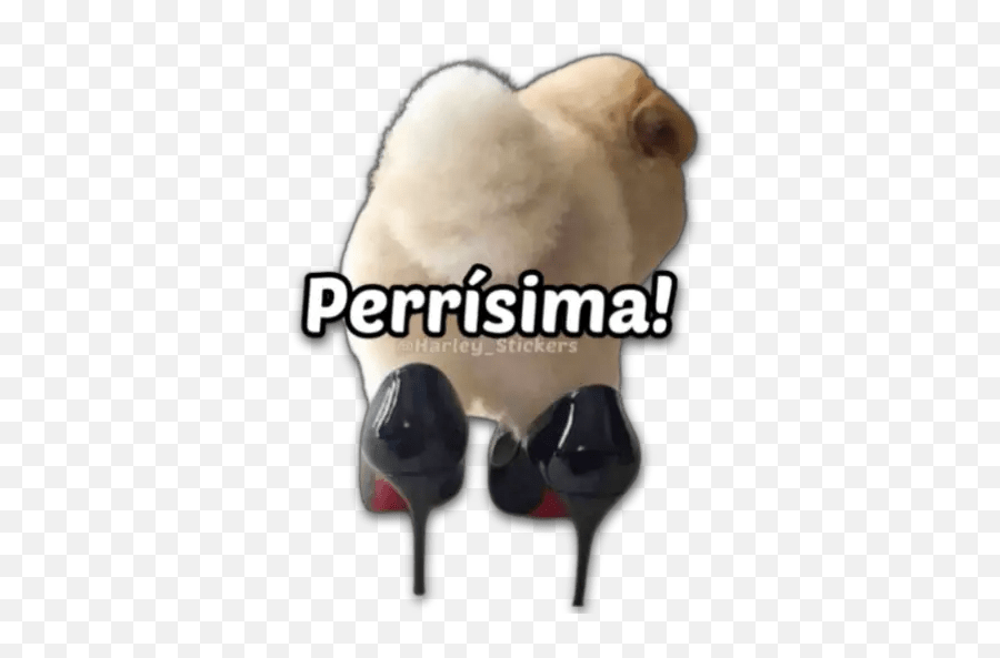 Secuencias Memes Top 7 Emoji,Stiletto Heel Emoji