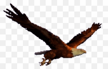 Top Golden Eagle Stickers For Android - Animated Eagle Emoji,Albanian Eagle Emoji