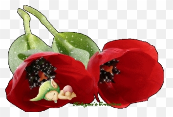 Happy Birthday To Queen Of - Page 3 Hitler Didi Bewegende Afbeeldingen Gifjes Bloemen Emoji,Hitler Emoticons