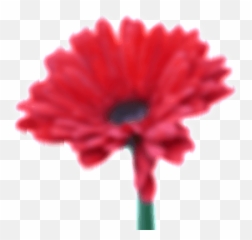 Blur A Png - Online Png Maker Lovely Emoji,Tumblr Emoticon Face Flowre