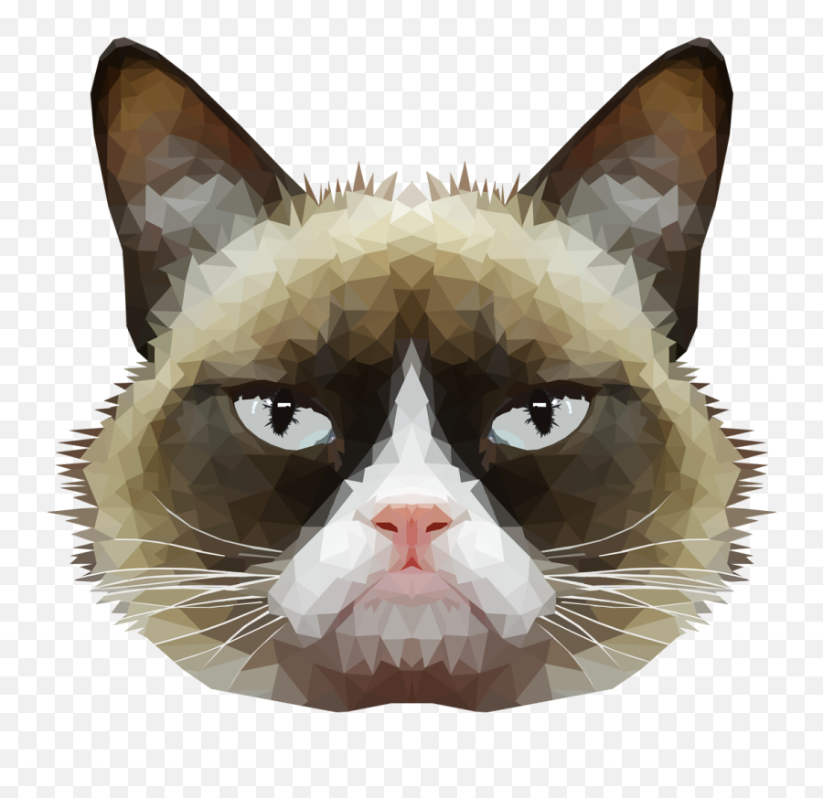 Cat Face Download Transparent Png Image Png Arts - Transparent Background Cat Head Emoji,Cat Face Emoji