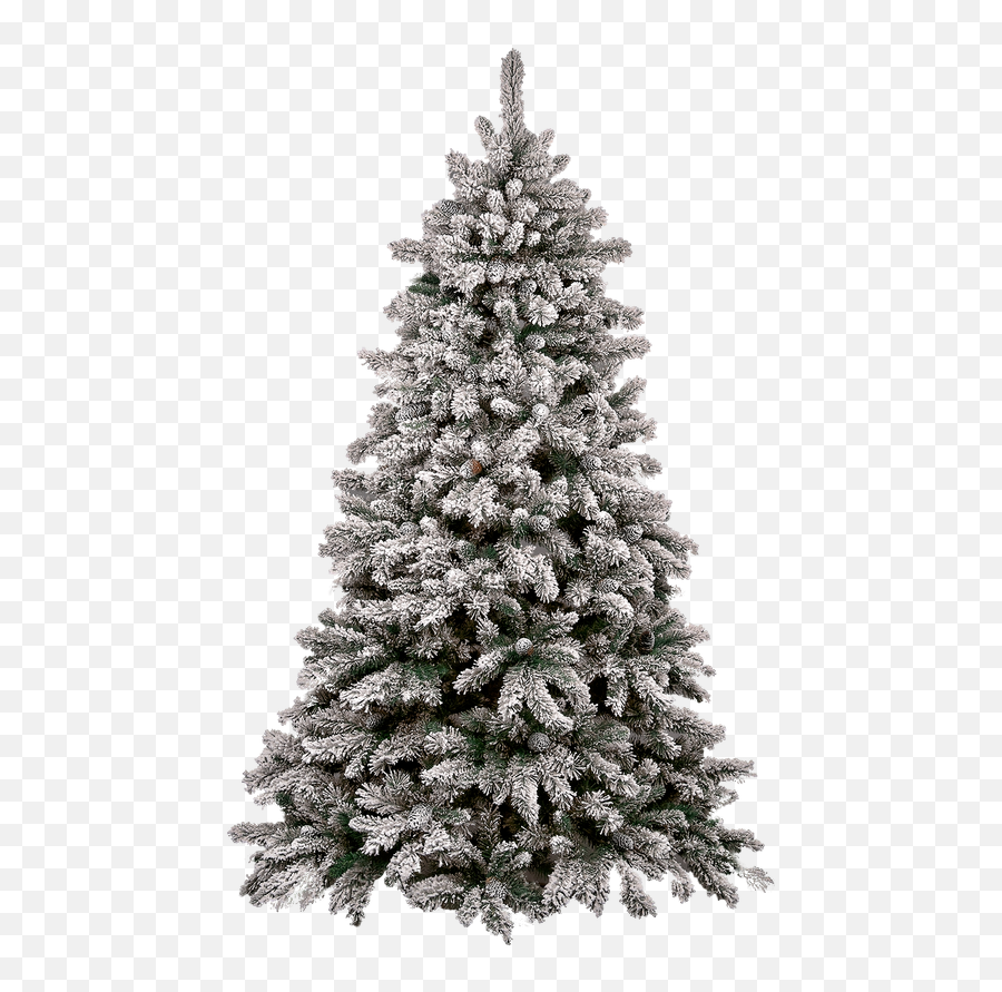 Christmas Png Images Transparent Free Download Pngmartcom - Christmas Tree Png Emoji,Cant Find The Christmas Tree Emoji
