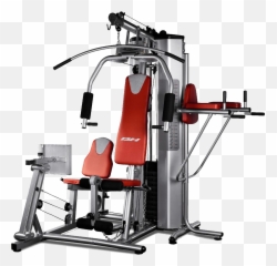 Dk Fitness Pvt - Bh Fitness G152x Global Gym Plus With Leg Press Emoji,Gym Emotion Lever