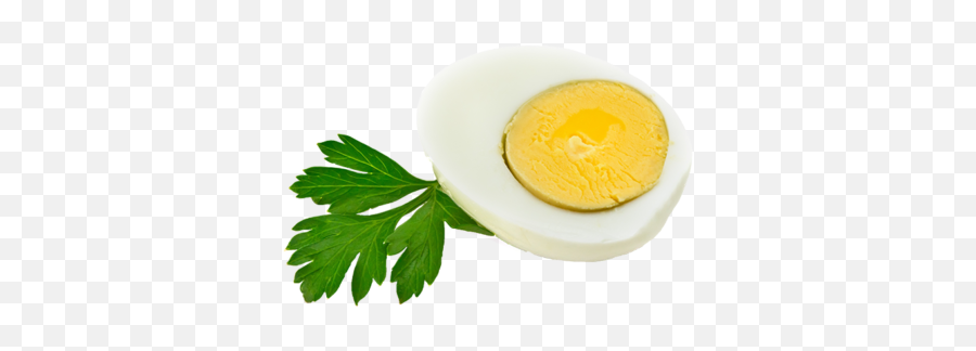 Blog - Nc Egg Association Emoji,Egg Carton Emoji