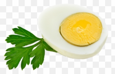 Blog - Nc Egg Association Emoji,Egg Carton Emoji