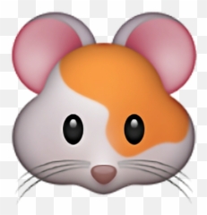 Jin Seokjin Kimseokjin Emoji Sticker - Emojis Do Whatsapp Animais,Hamster Emoji
