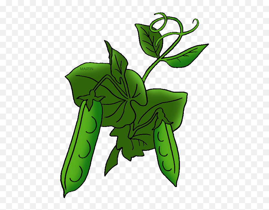 Plant Clipart Fruit Plant Plant Fruit Plant Transparent - Cartoon Drawing Pea Plant Emoji,Fruit Emoji Quiz