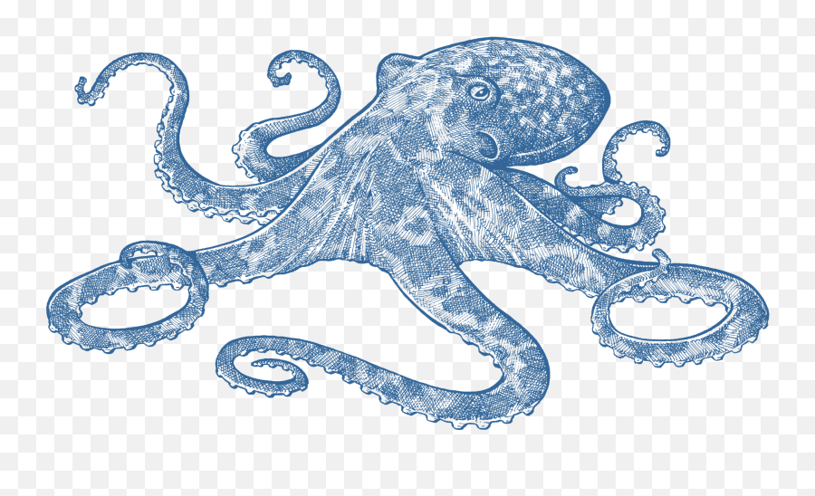 Your Personality Type And How It Influences Interior Design Emoji,Octopus Capable Of Emotion