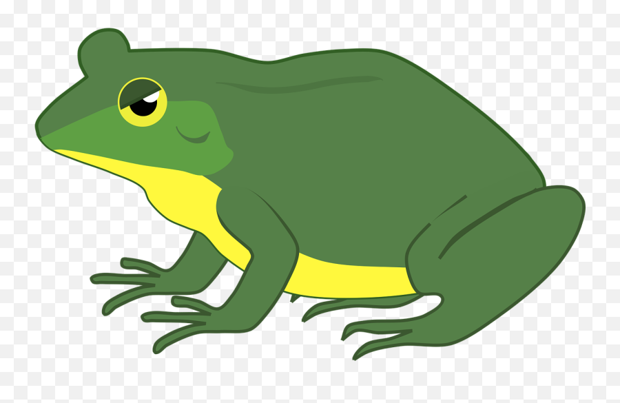 R Blendsclusters Baamboozle - Gambar Katak Emoji,Meaning Of Trash Frog And Coffee Emoji